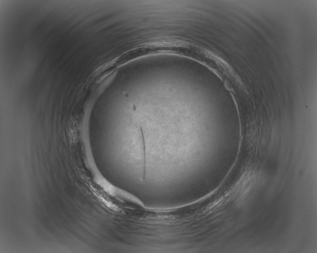 X0000084570833200702231257