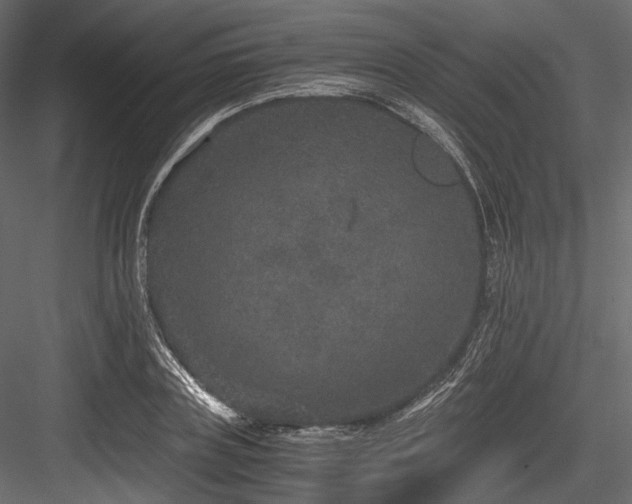X0000084570835200702231257