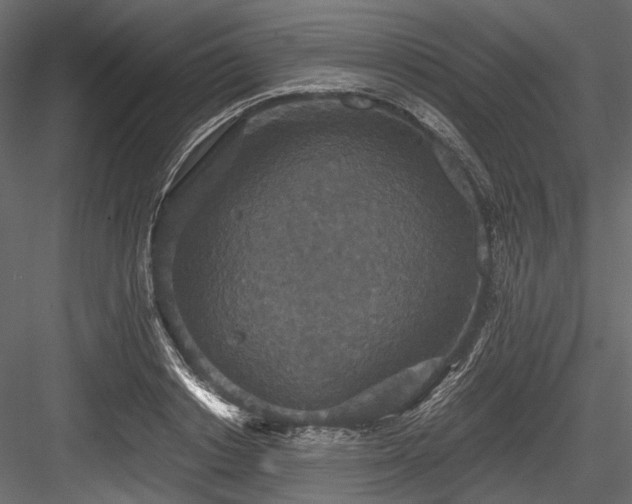 X0000084570842200702231257