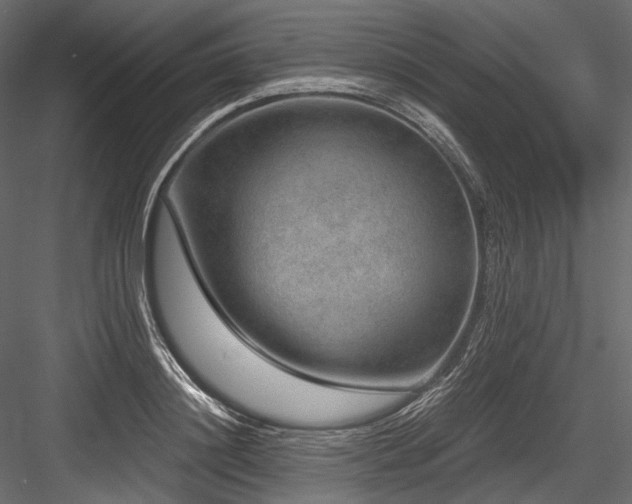 X0000084570844200702231257