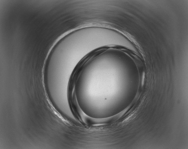 X0000084570846200702231257