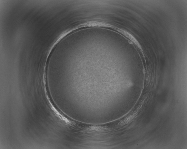 X0000084570847200702231257