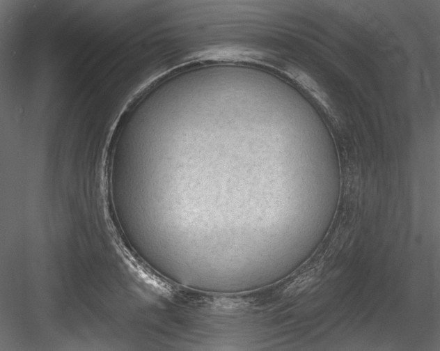 X0000084570848200702231257