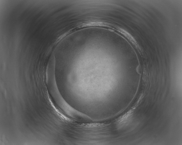 X0000084570849200702231257