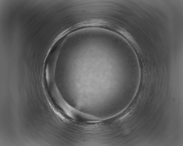 X0000084570850200702231257