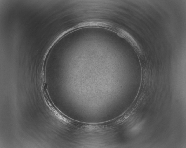 X0000084570852200702231257