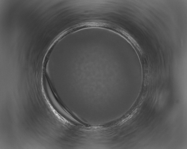 X0000084570853200702231257