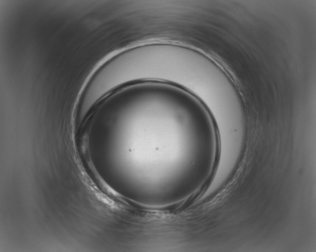X0000084570854200702231257