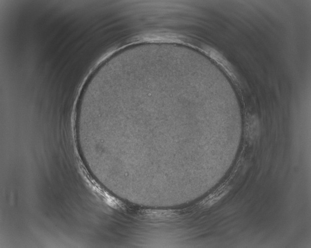 X0000084570856200702231257