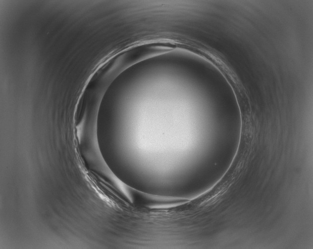 X0000084570858200702231257