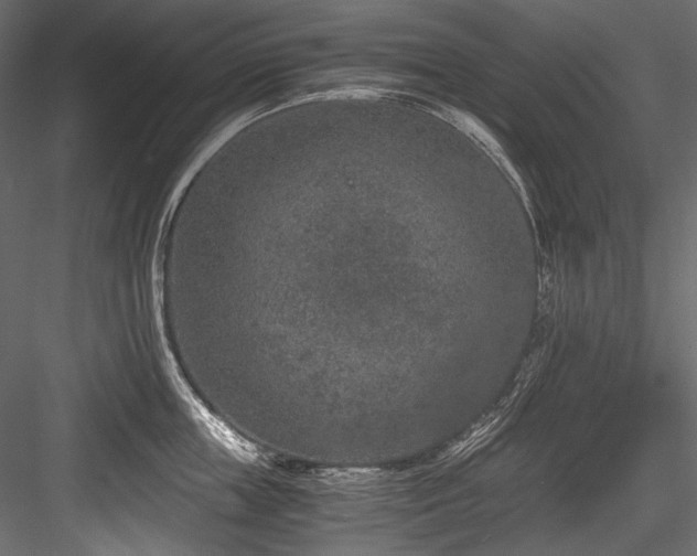 X0000084570859200702231257