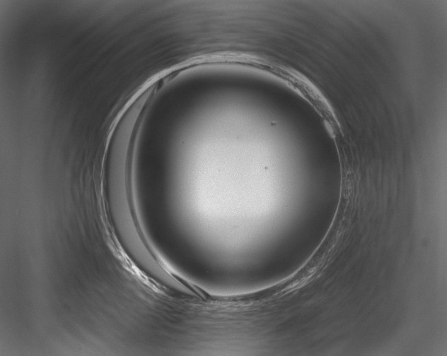 X0000084570860200702231257