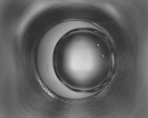X0000084570862200702231257