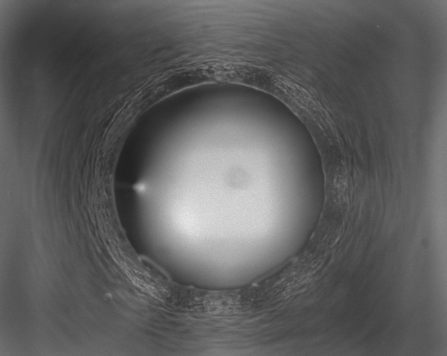 X0000084570865200702231256