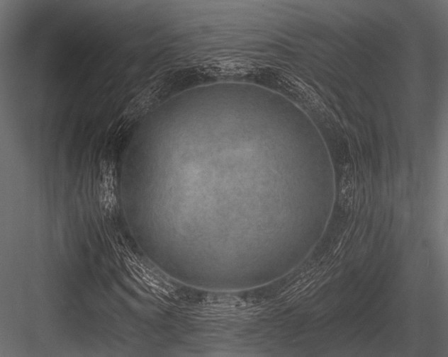 X0000084570866200702231256