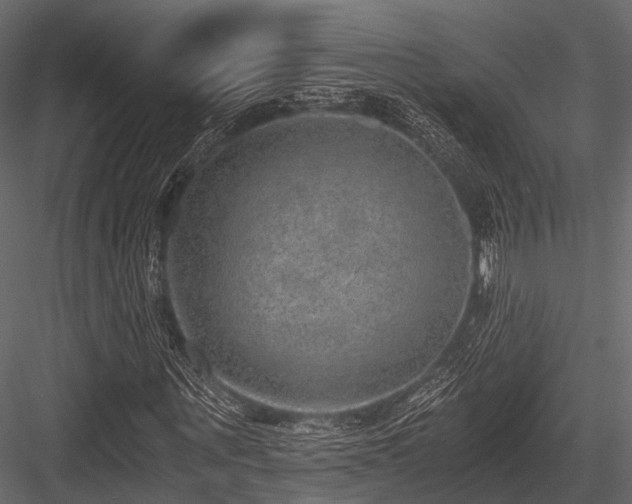 X0000084570867200702231256