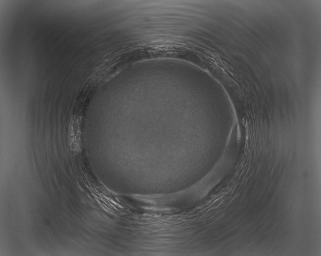 X0000084570868200702231256
