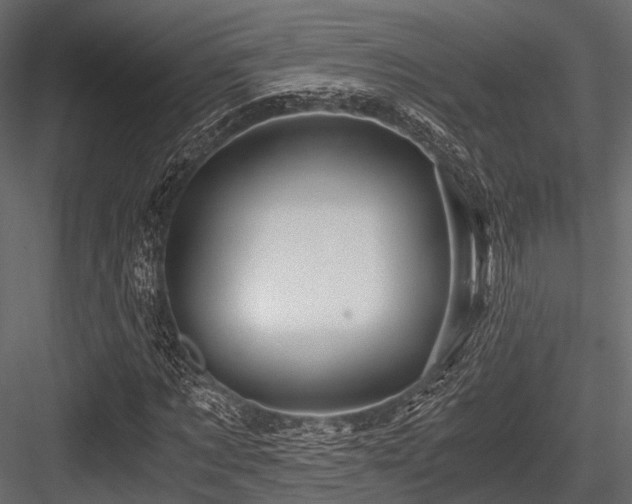 X0000084570869200702231256