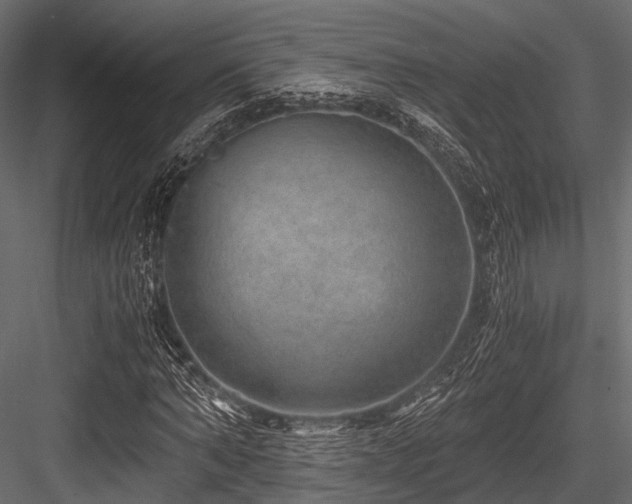 X0000084570870200702231256