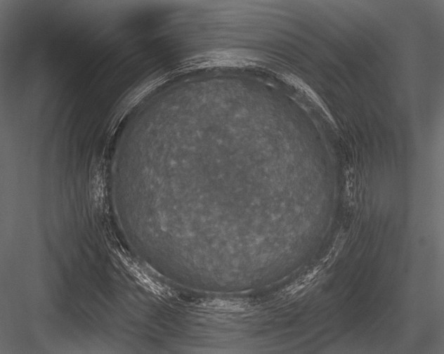 X0000084570874200702231256
