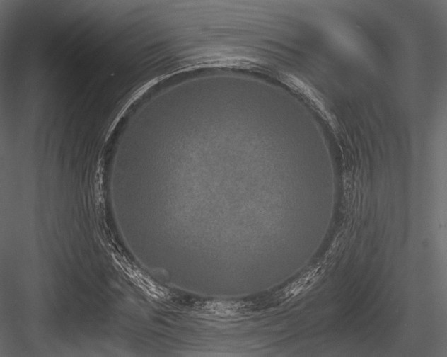 X0000084570875200702231256