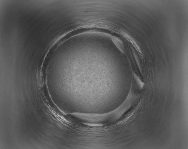 X0000084570876200702231256