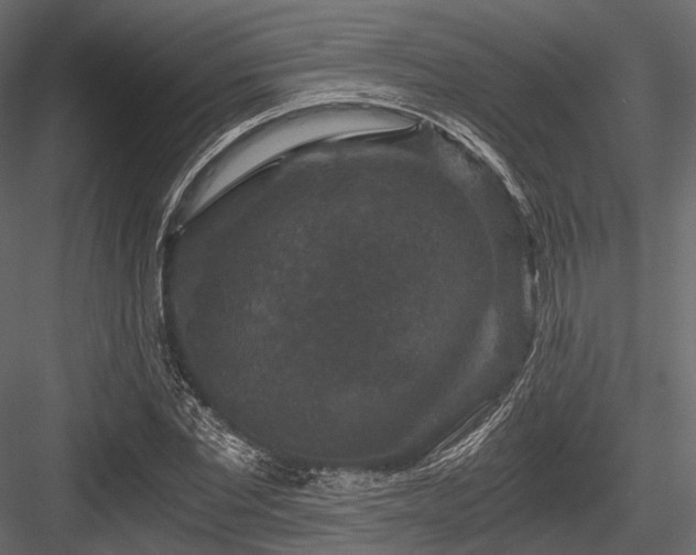 X0000084570877200702231256