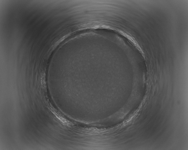 X0000084570881200702231256