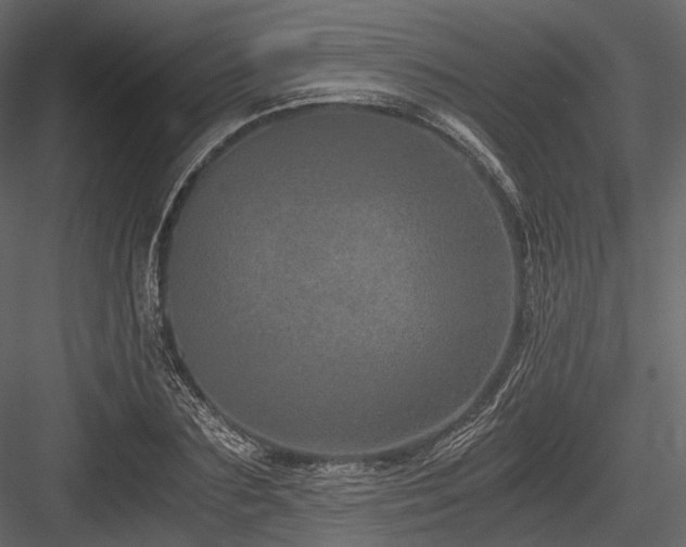 X0000084570883200702231256