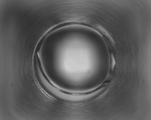 X0000084570884200702231256