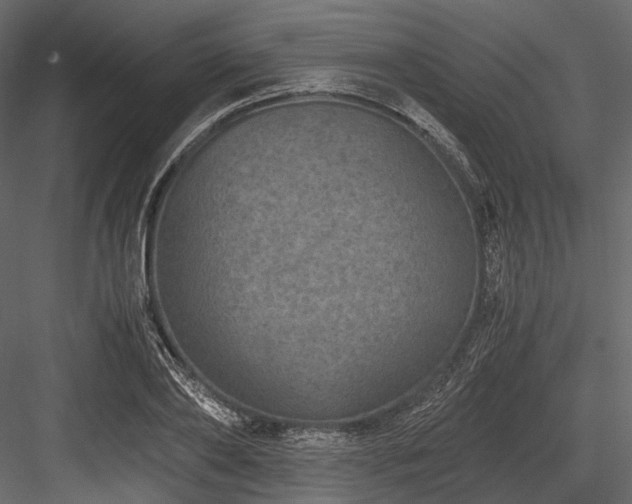 X0000084570886200702231256