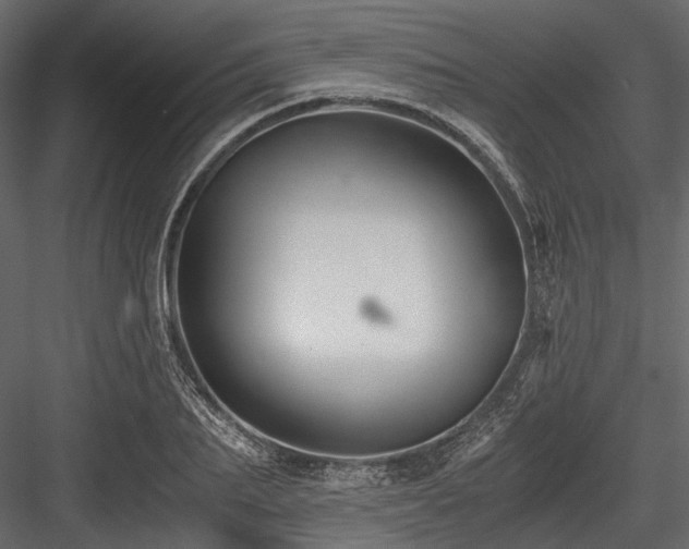 X0000084570887200702231256