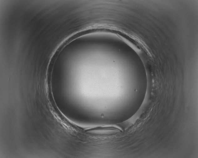 X0000084570888200702231256