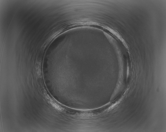 X0000084570889200702231256