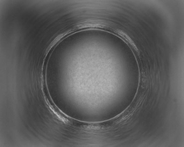 X0000084570890200702231256
