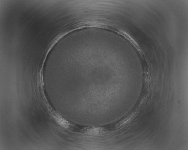 X0000084570891200702231256