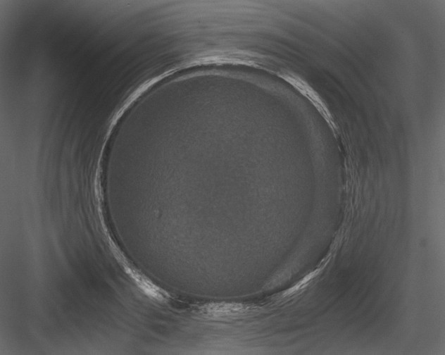 X0000084570893200702231256