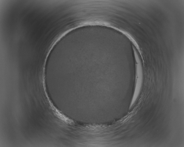 X0000084570895200702231256
