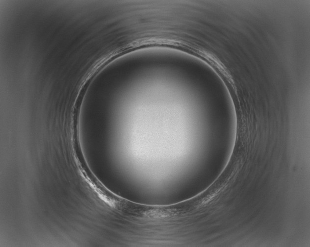 X0000084570898200702231256