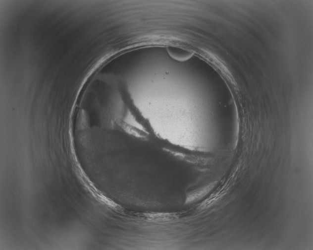 X0000084570899200702231256