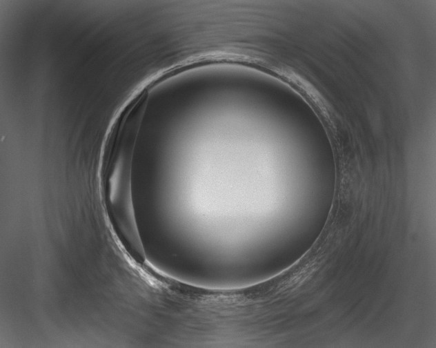 X0000084570902200702231256