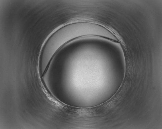 X0000084570904200702231256