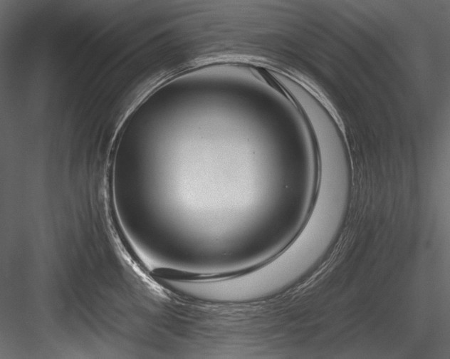 X0000084570906200702231256