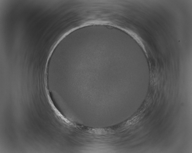 X0000084570911200702231256