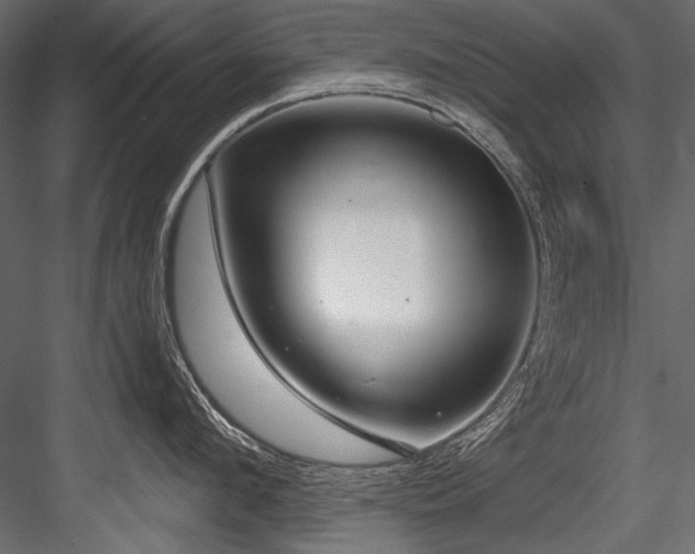 X0000084570912200702231256