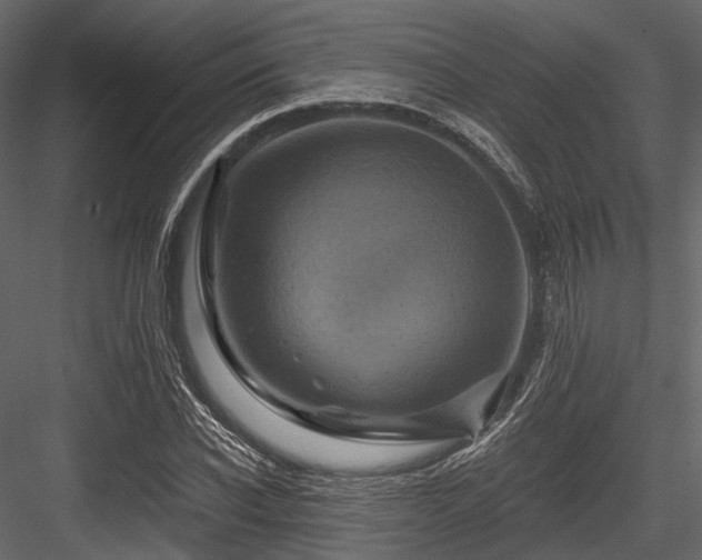 X0000084570926200702231255