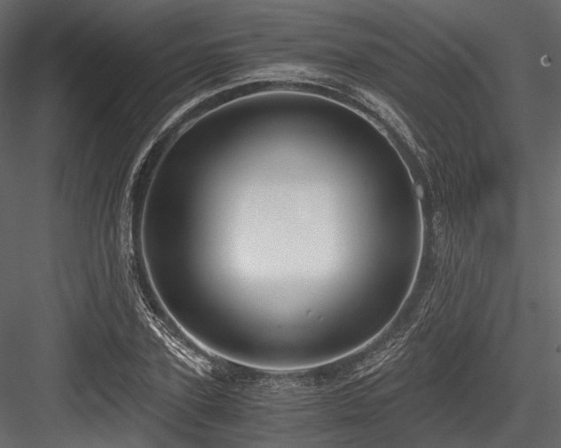 X0000084570931200702231255