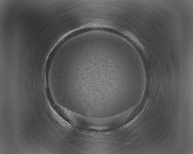 X0000084570934200702231255