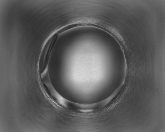 X0000084570936200702231255