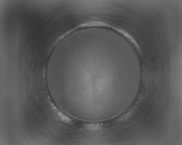 X0000084570937200702231255